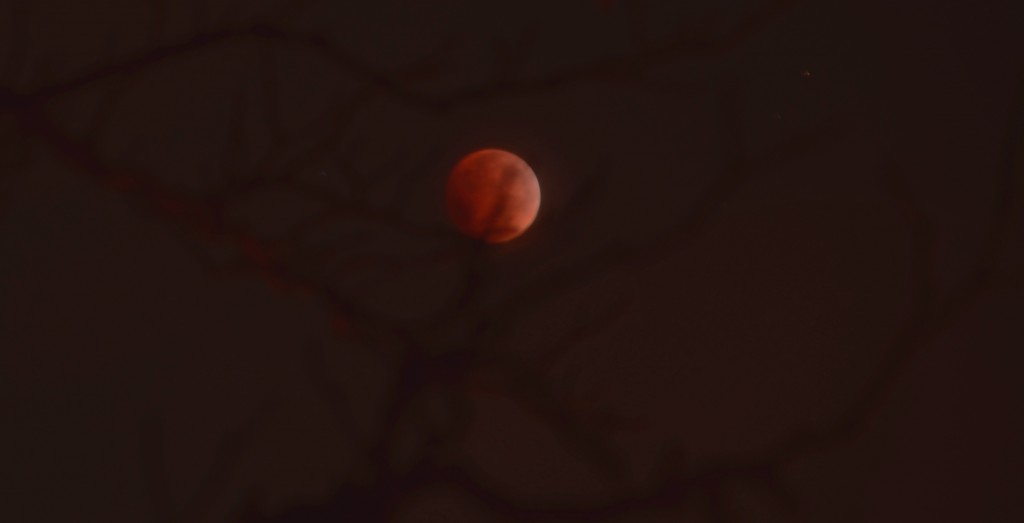 Blood Moon