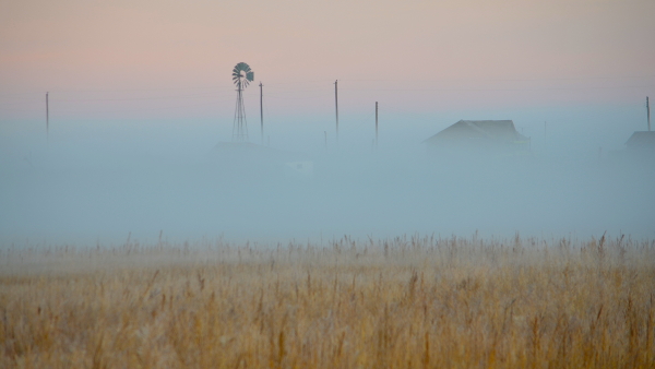 PingFarm Fog 2014 sized