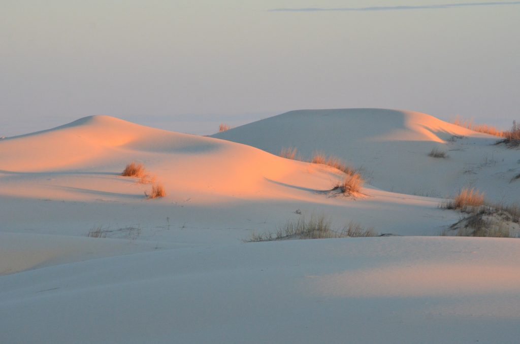 DUNE Hill